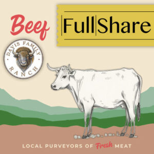 Whole Beef Share